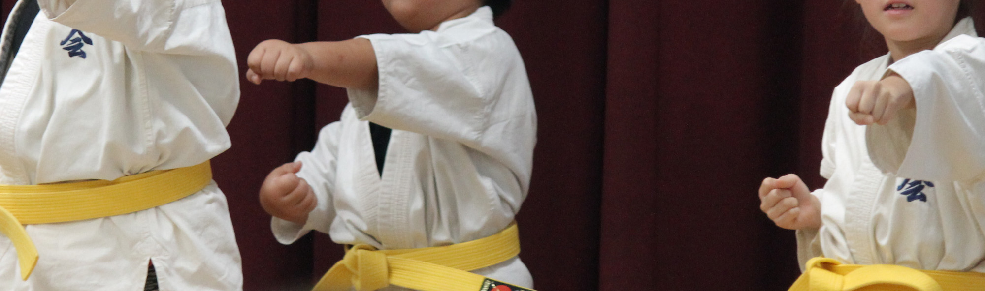 山梨県甲府市の空手道場空手道爽光会